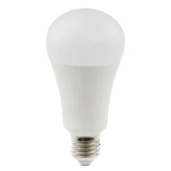 Daylight Energy Saving Bulbs
