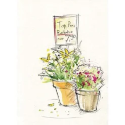 Faber Castell Watercolour Sets -Golden || Pebeo || Daler-Rowney Sales Store FaberCastellWatercolourSets 3