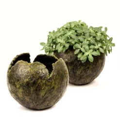 GERSTAECKER | Modelling Paste — Coarse -Golden || Pebeo || Daler-Rowney Sales Store GERSTAECKER7CModellingPasteE28094coarse 2