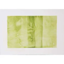 Schmincke Crackle Paste 5 Schmincke Crackle Paste -Golden || Pebeo || Daler-Rowney Sales Store SchminckeCracklePaste 2