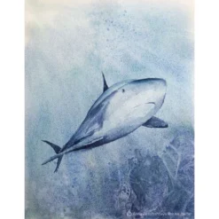 Schmincke Horadam Watercolours Super Granulating Special Colours -Golden || Pebeo || Daler-Rowney Sales Store SchminckeHoradamWatercoloursSuperGranulatingSpecialColours 3